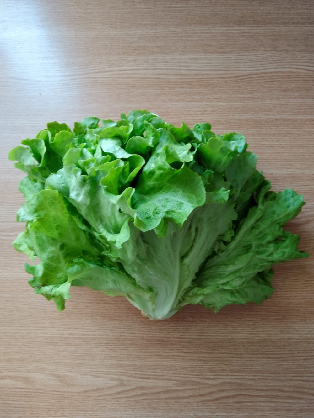 fresh lettuce on a table