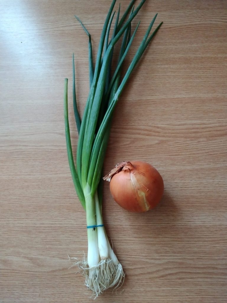 Onions on table