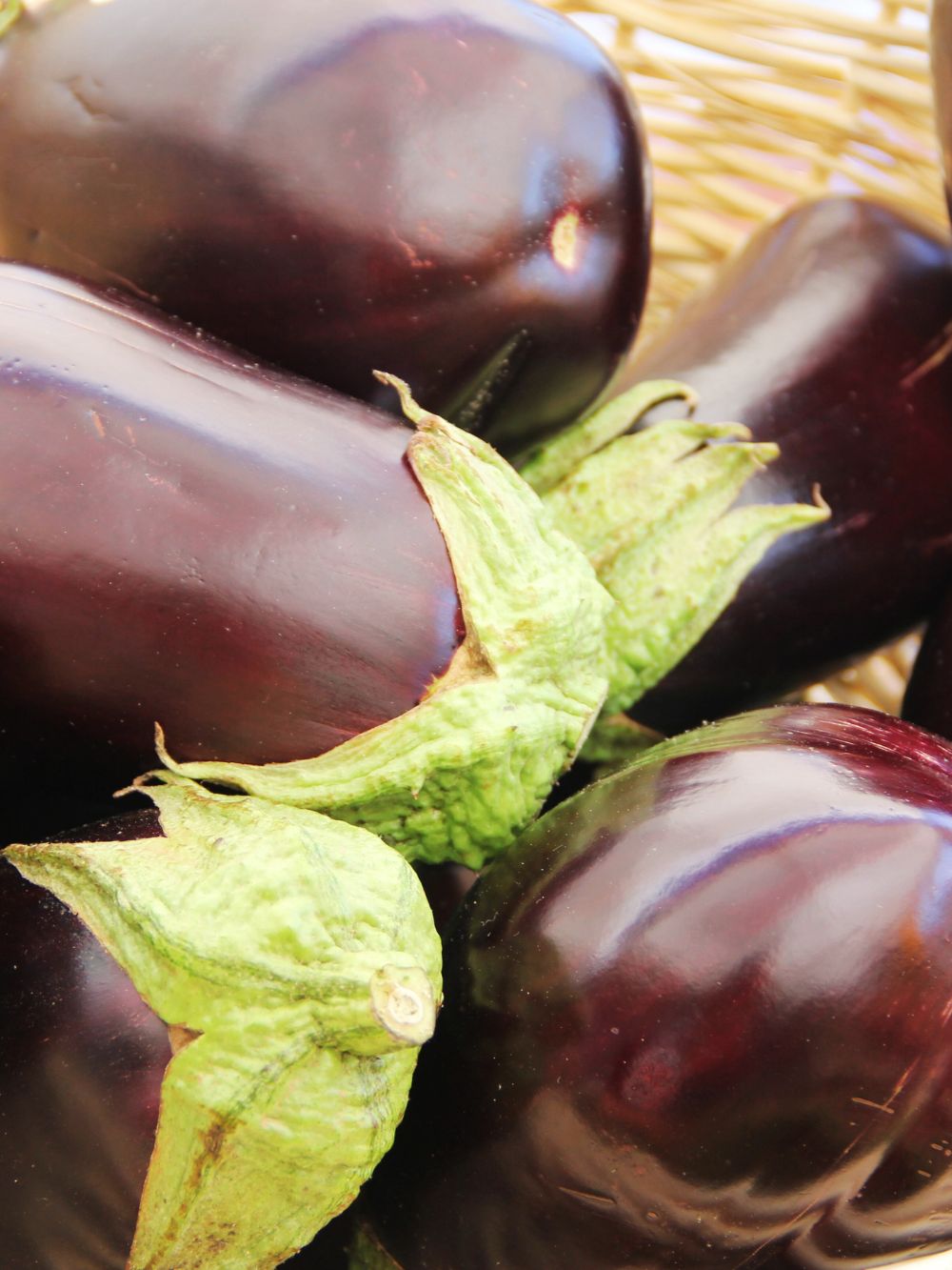 eggplant